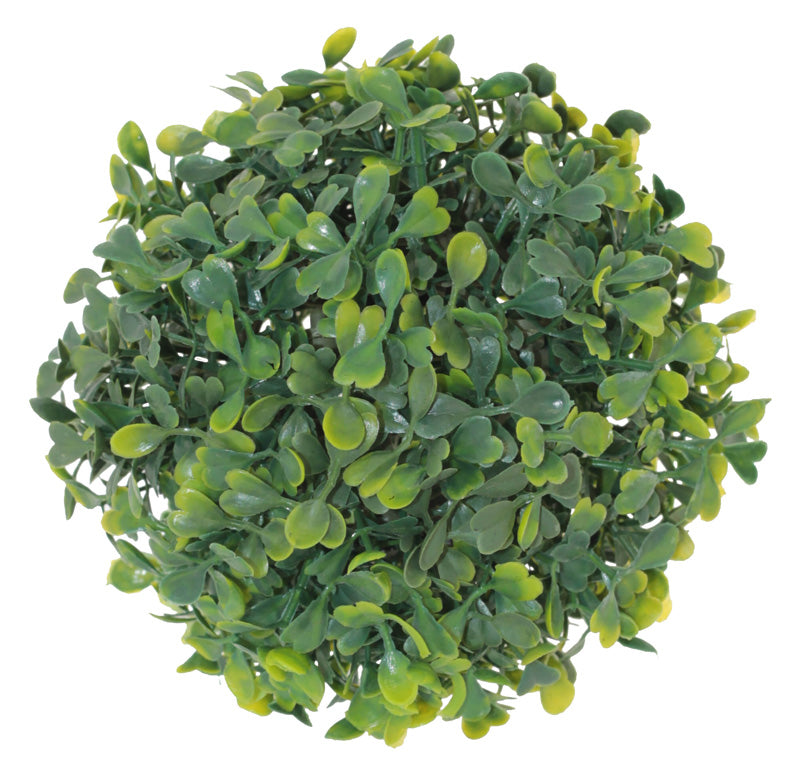 Green Boxwood Ball 13Cm          