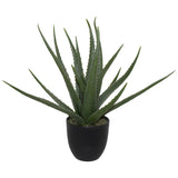 Aloe In Pot 47Cm                  - Image 2
