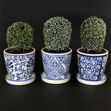 Small Planter Mixed 11Cm          - Image 2