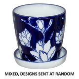 Paros Planter Mixed 11Cm Tray     - Image 4