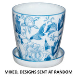 Paros Planter Mixed 11Cm Tray     - Image 3