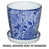 Paros Planter Mixed 11Cm Tray     - Image 2