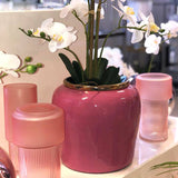 Pink Jar Vase Gold Rim 24X23Cm    - Image 2