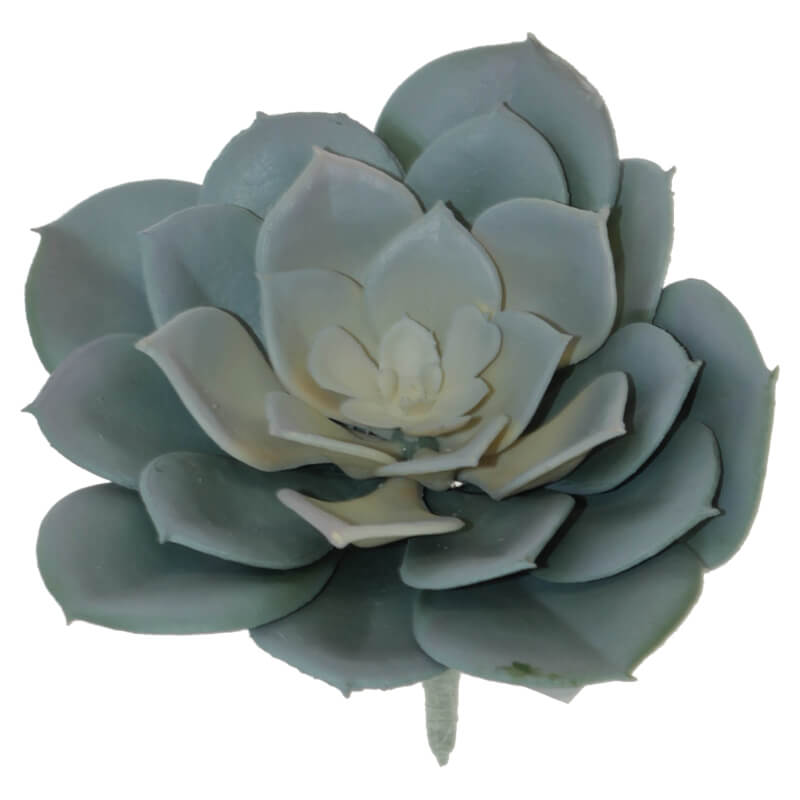 Mauve Desert Rose 11X13Cm        