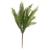 Fern Bunch 47Cm                   - Image 2