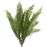 Fern Bunch 47Cm                  