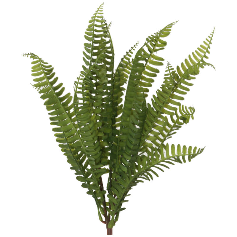 Fern Bunch 47Cm                  