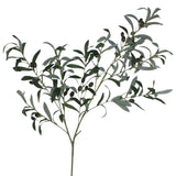 Olive Branch 100Cm               