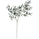 Olive Branch 100Cm                - Image 2