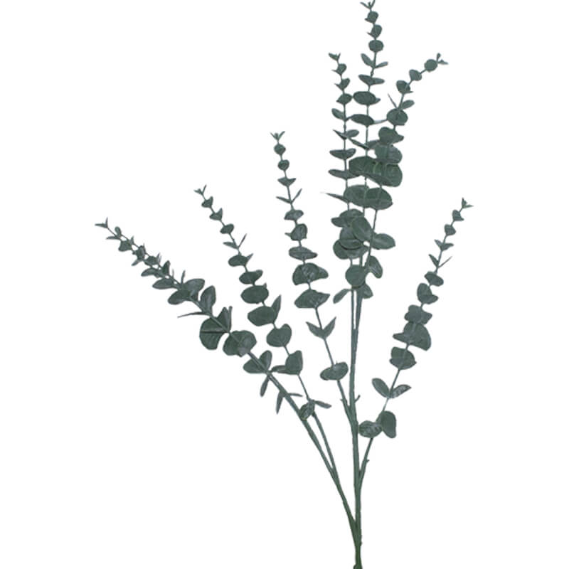 Eucalyptus Branch 76Cm           
