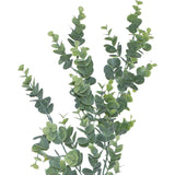 Eucalyptus Plant 85Cm             - Image 3