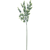 Eucalyptus Plant 85Cm             - Image 2
