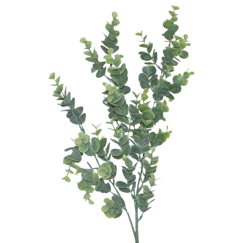 Eucalyptus Plant 85Cm            