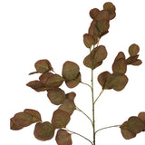 Eucalyptus Autumn Stem 88Cm       - Image 2