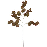 Eucalyptus Autumn Stem 88Cm      