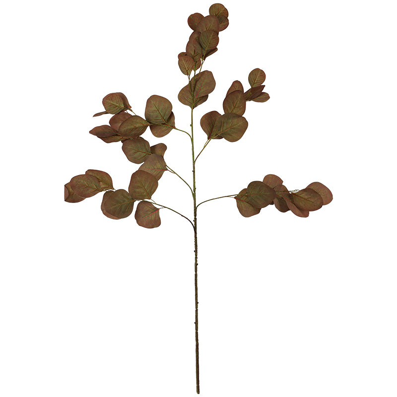 Eucalyptus Autumn Stem 88Cm      