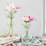 Organic Posy Vase/Bottle 15Cm     - Image 3