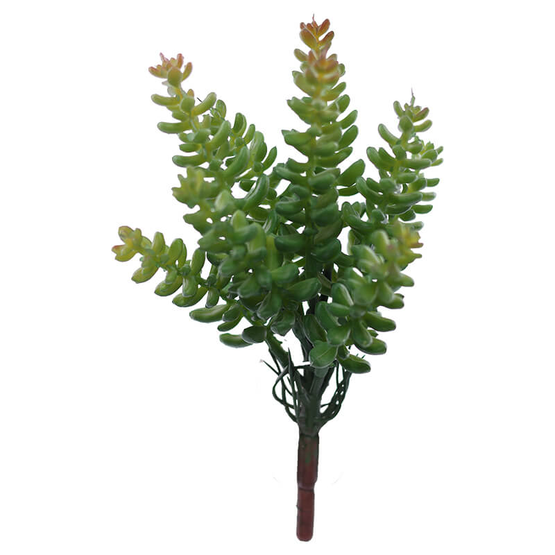 Pearl Succulent 18Cm             
