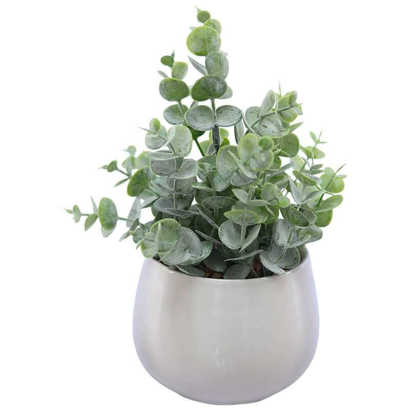 Coin Leaf White Pot 24X10Cm