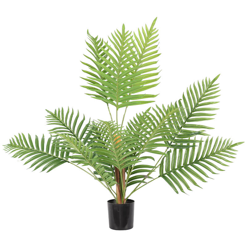 Tropical Plant In Pot 70Cm       