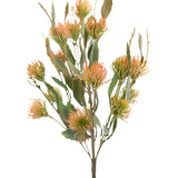 Orange Pin Cushion Bunch 52Cm - Image 2