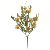 Orange Pin Cushion Bunch 52Cm