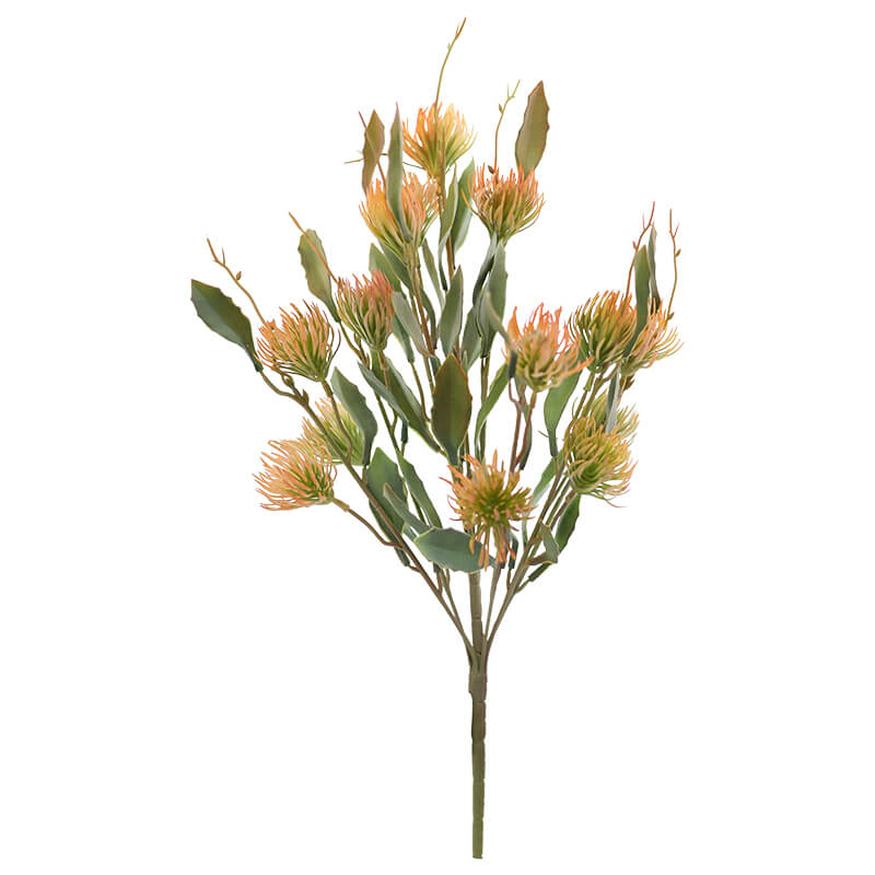 Orange Pin Cushion Bunch 52Cm