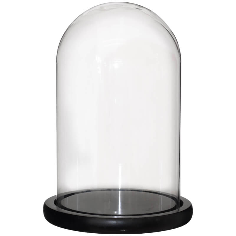 Maya Dome With Black Base 20X15Cm