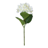 Cream Hydrangea Stem 68Cm         - Image 2