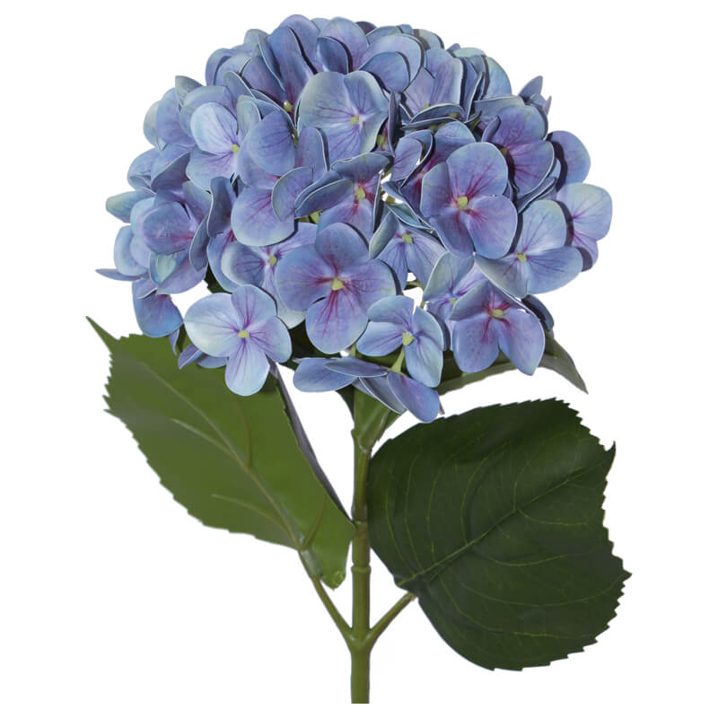 Blue Hydrangea Stem 68Cm         