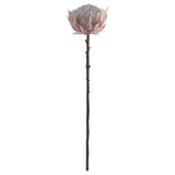 Cream/Pink Protea 67Cm            - Image 2