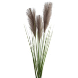 Pampas Stem 90Cm Charcoal        