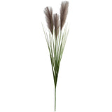 Pampas Stem 90Cm Charcoal         - Image 2