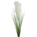 Pampas Stem 90Cm Cream           
