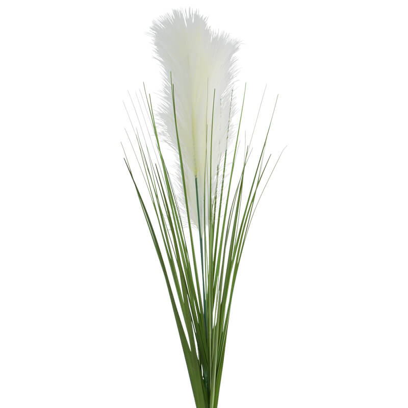Pampas Stem 90Cm Cream           