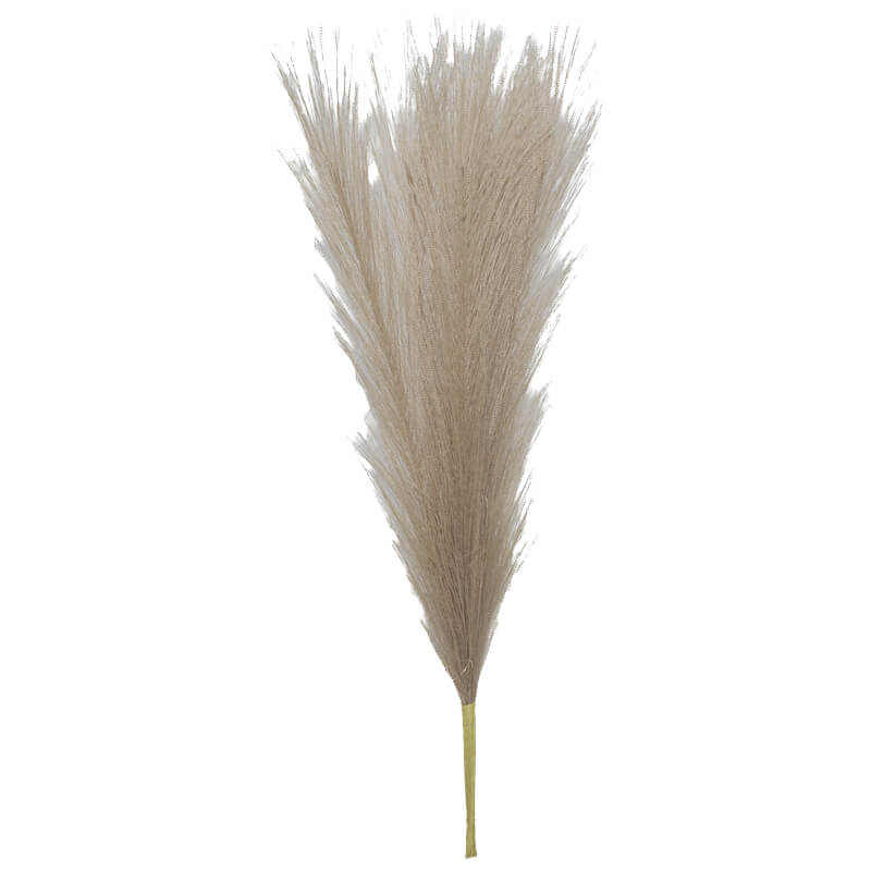 Oatmeal Pampas Grass 44Cm        