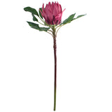Dark Pink King Protea 78Cm        - Image 2