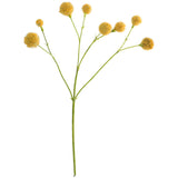 Chamomile Stem 50Cm               - Image 2