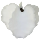 Shell Vase 17X19X18Cm             - Image 2