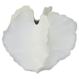 Shell Vase 17X19X18Cm            