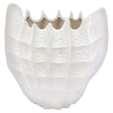 Shell Vase 20Cm White