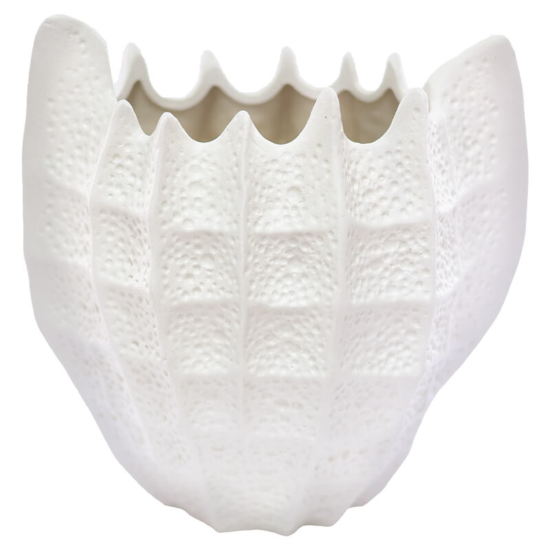 Shell Vase 20Cm White