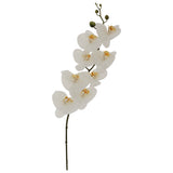 White Orchid 88Cm                 - Image 2