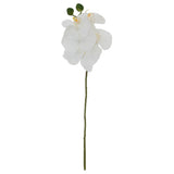 White Orchid 44Cm                 - Image 2