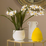 White Oncidium Orchid In Pot 46Cm - Image 2