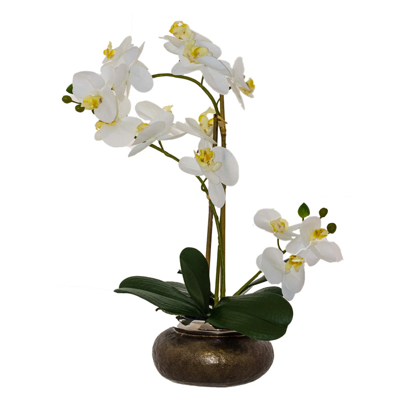 White Orchid In Bronze Pot 53Cm  
