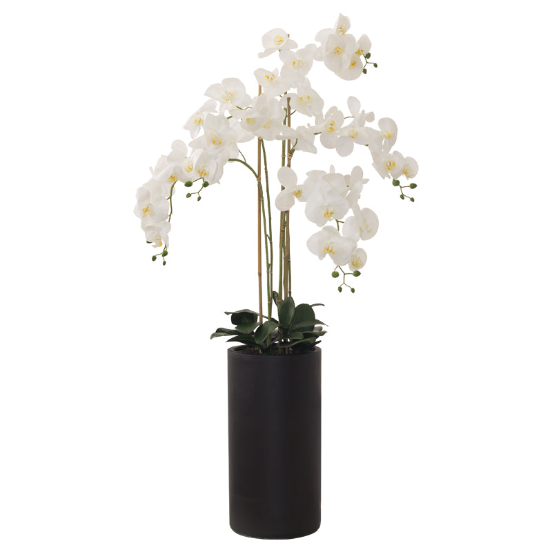 White Real Touch Orchid 135Cm    