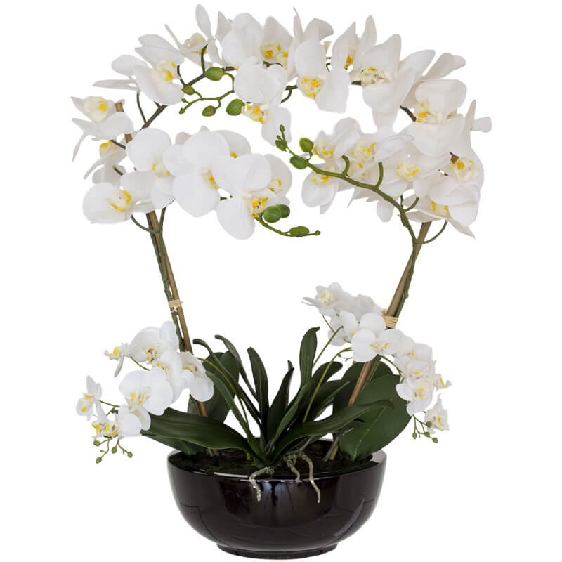 White Real Touch Orchid 64Cm     