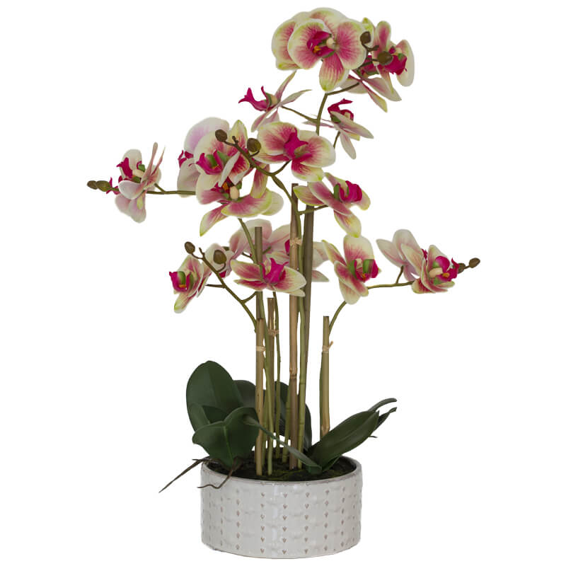 G/R Real Touch Orchid 58Cm       