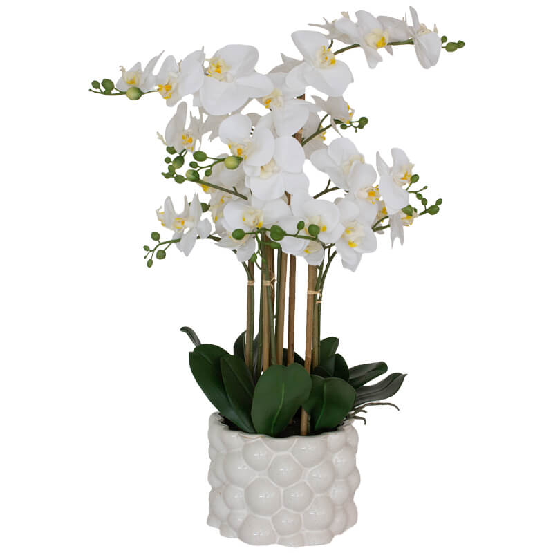 White Real Touch Orchid 71Cm     